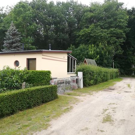 Ferienhaus Am Wald Loissin Bagian luar foto