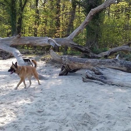 Ferienhaus Am Wald Loissin Bagian luar foto