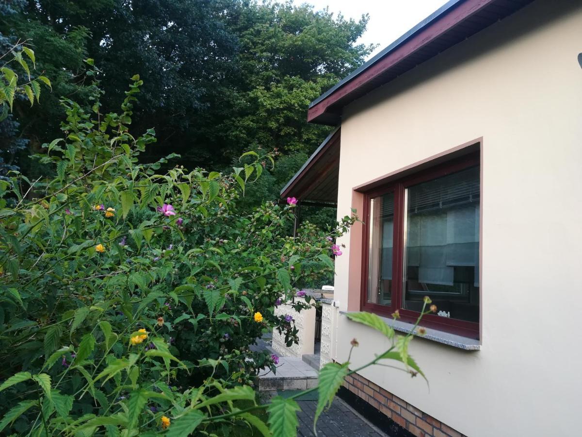 Ferienhaus Am Wald Loissin Bagian luar foto