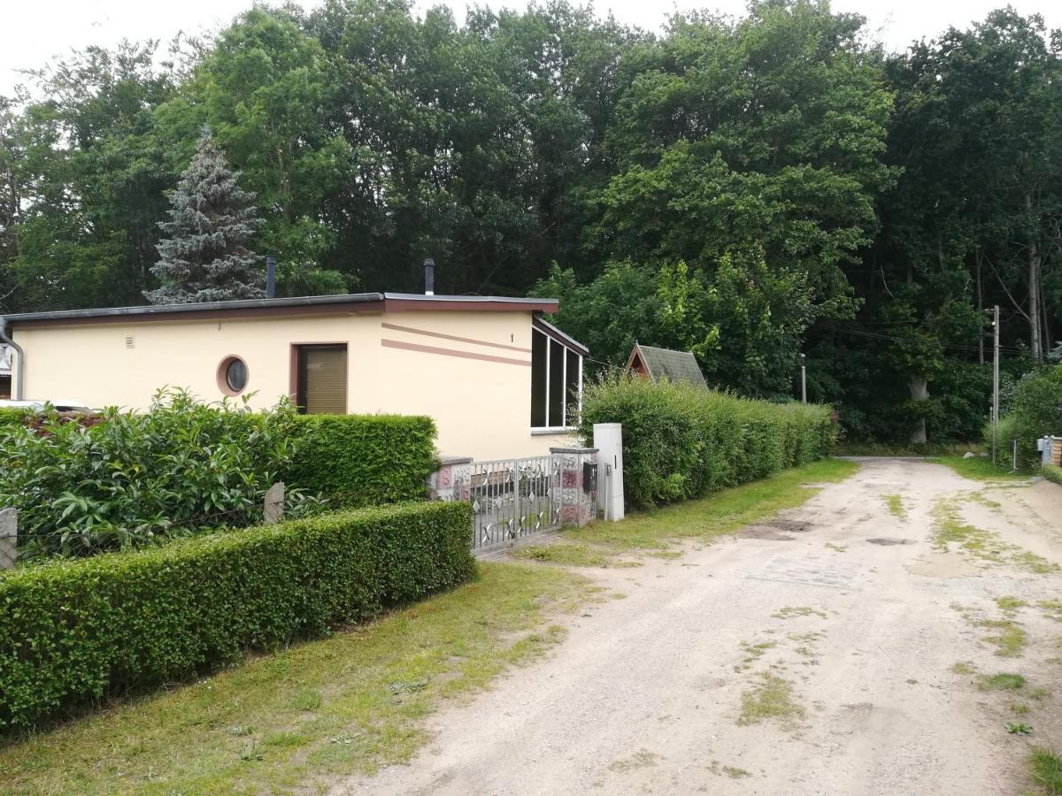 Ferienhaus Am Wald Loissin Bagian luar foto